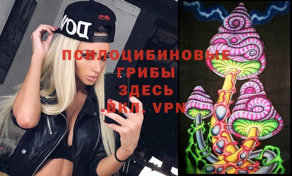 стафф Вязники